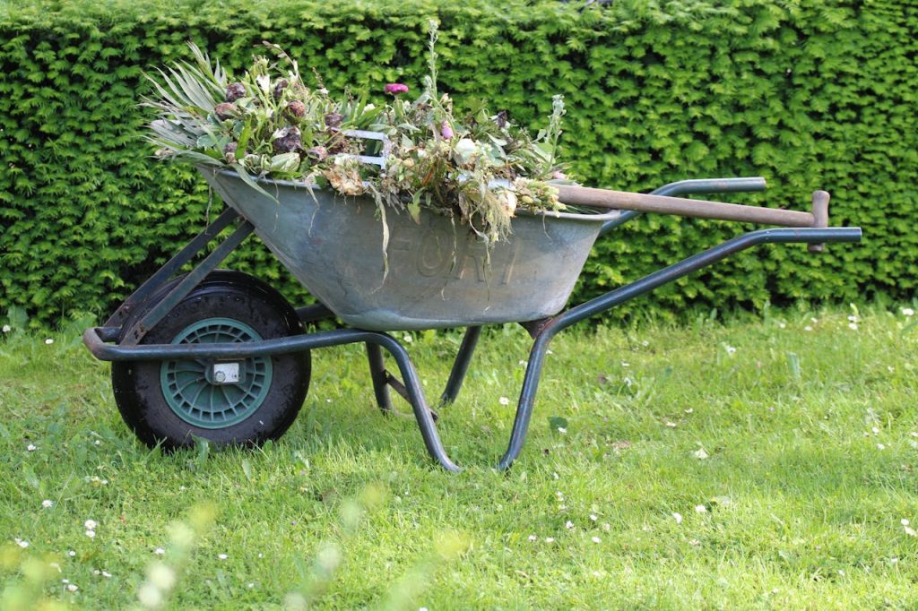 pexels-photo-26827231-3 Old wheelbarrow filled with garden waste and weeds in a lush green backyard.